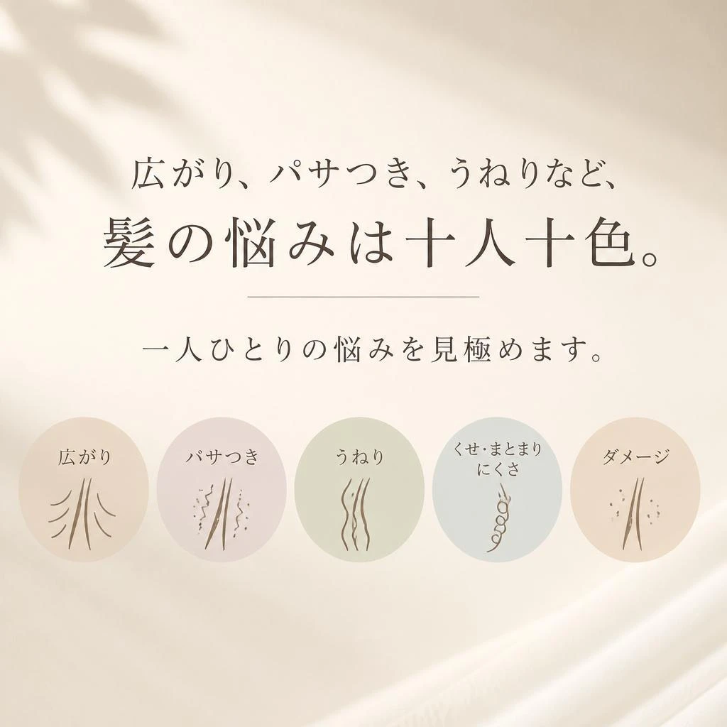 2. 髪の悩みを理解する